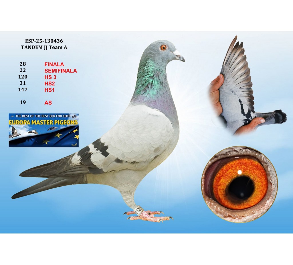 28th place HS2 - ESP-25-130436 - TANDEM JJ