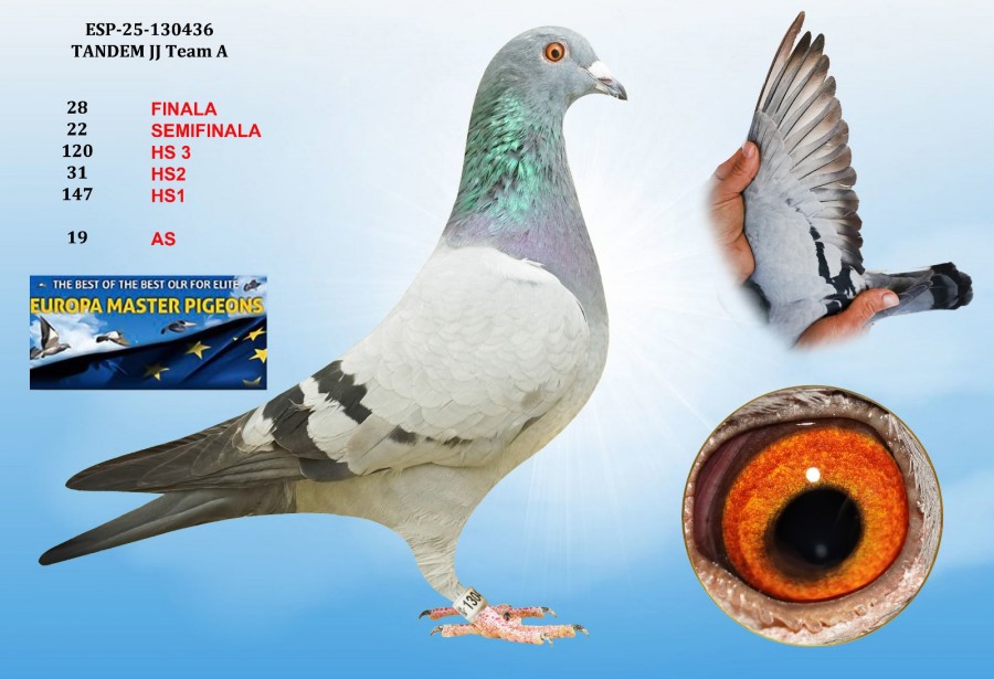 28th place HS2 - ESP-25-130436 - TANDEM JJ