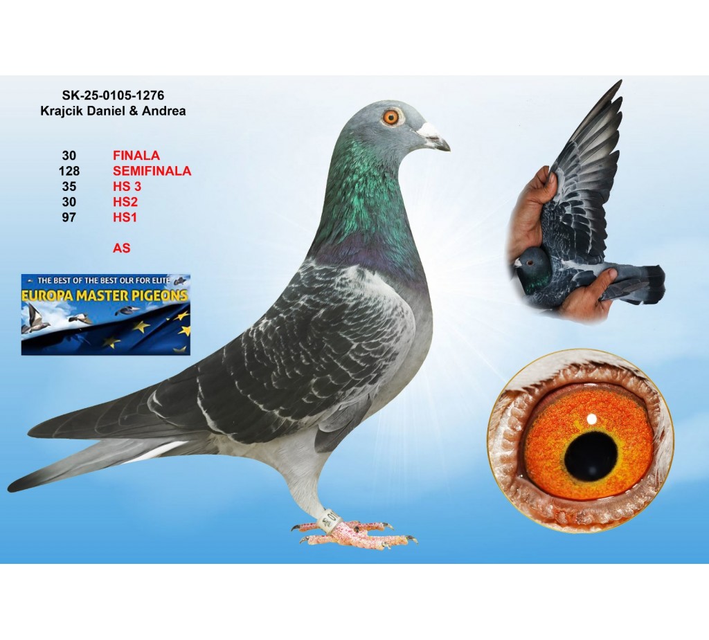 30th place - SK-25-0105-1276 - KRAJCIK DANIEL & ANDREA