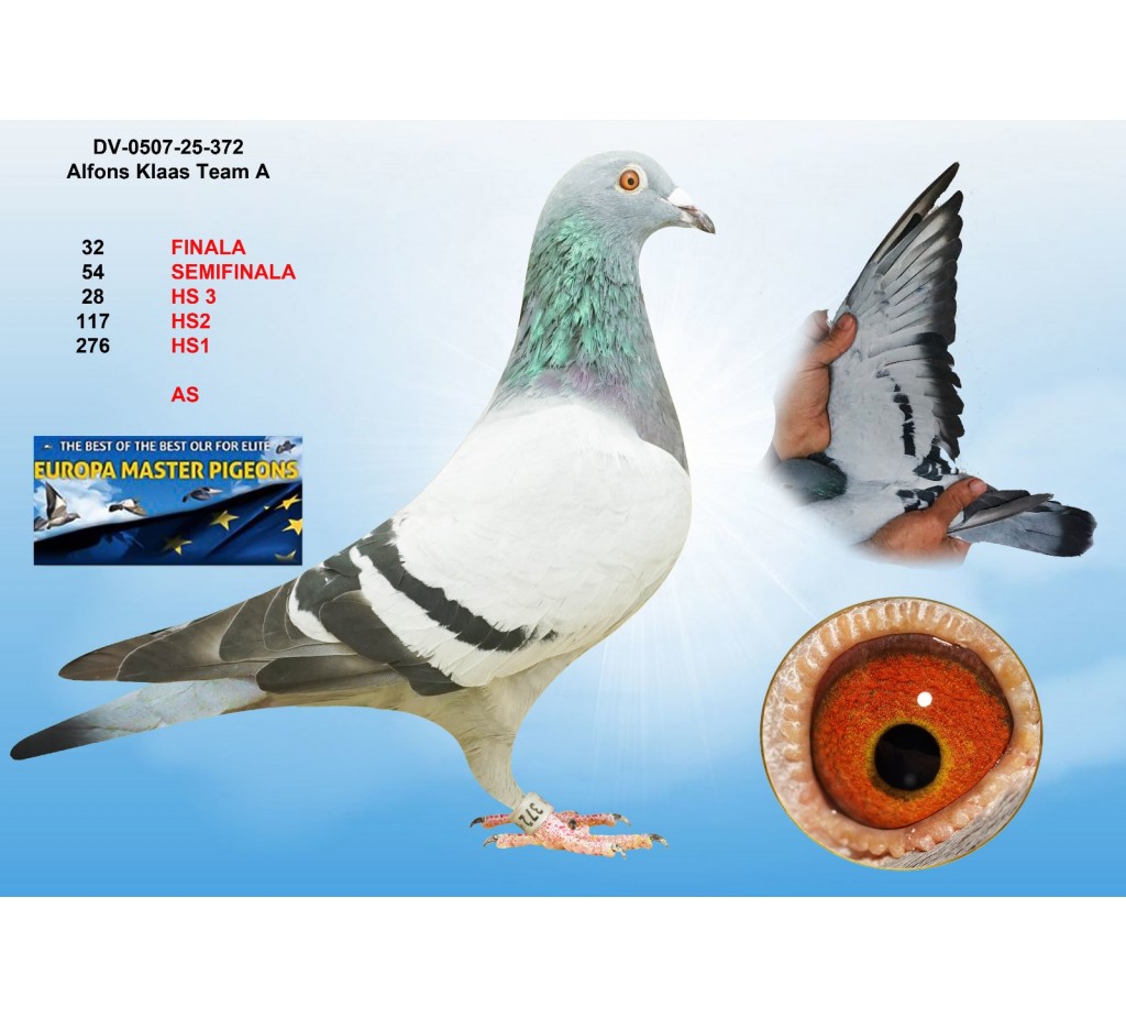 32th place - DV-0507-25-372 - ALFONS KLAAS