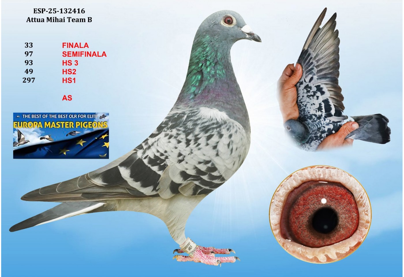 33th place - ESP-25-132416 - ATTUA MIHAI