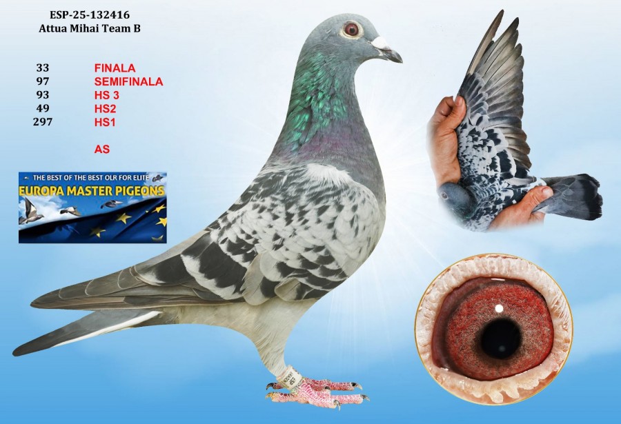 33th place - ESP-25-132416 - ATTUA MIHAI