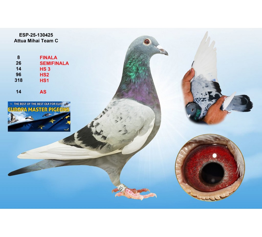 8th place - ESP-25-130425 - ATTUA MIHAI