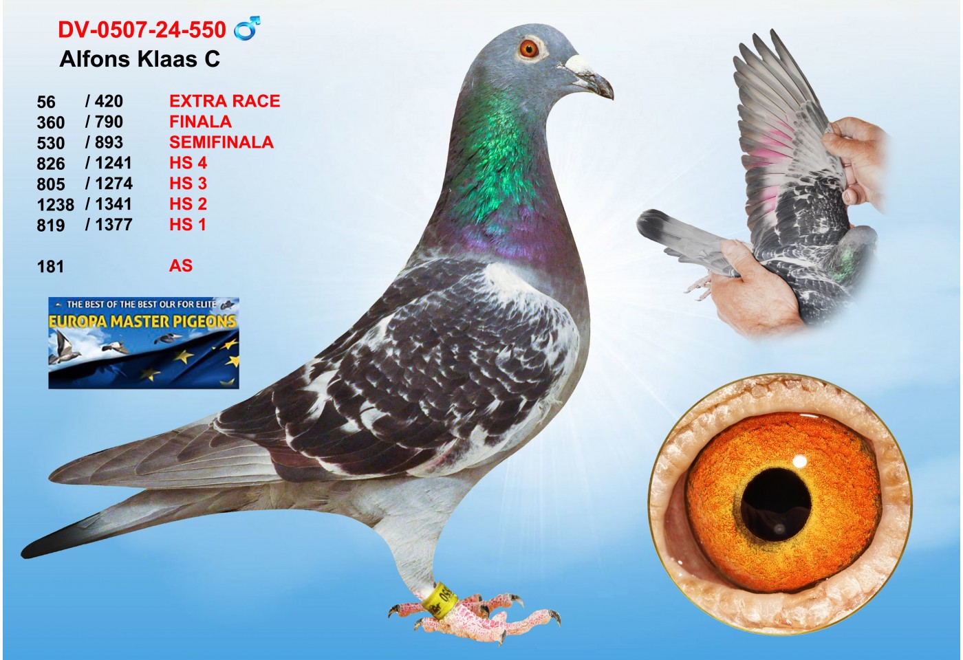 (♂️)  56th place - DV-0507-24-550 - ALFONS KLAAS