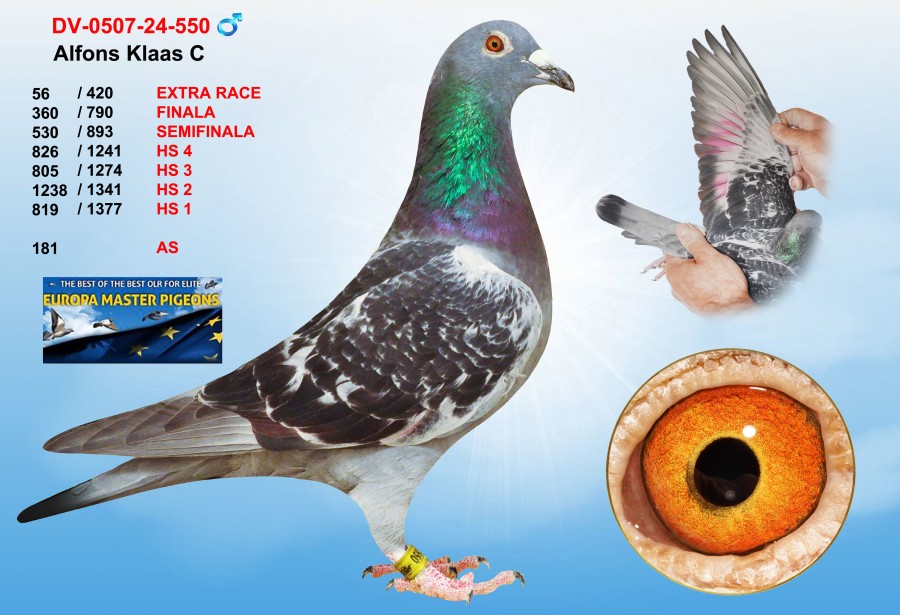 (♂️)  56th place - DV-0507-24-550 - ALFONS KLAAS