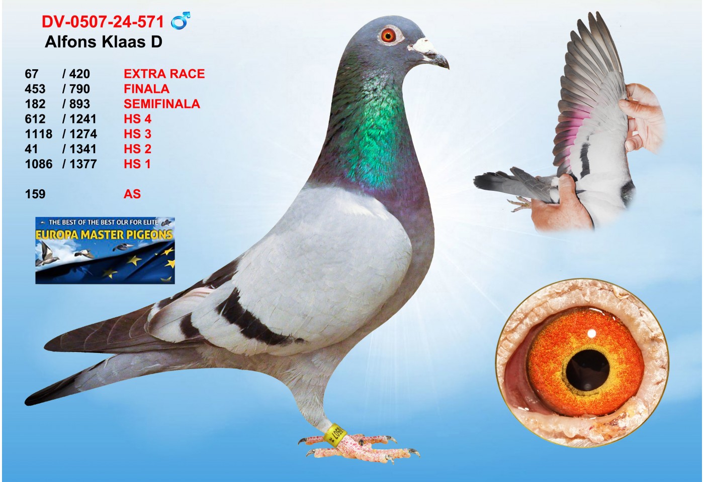 (♂️)  67th place - DV-0507-24-571 - ALFONS KLAAS