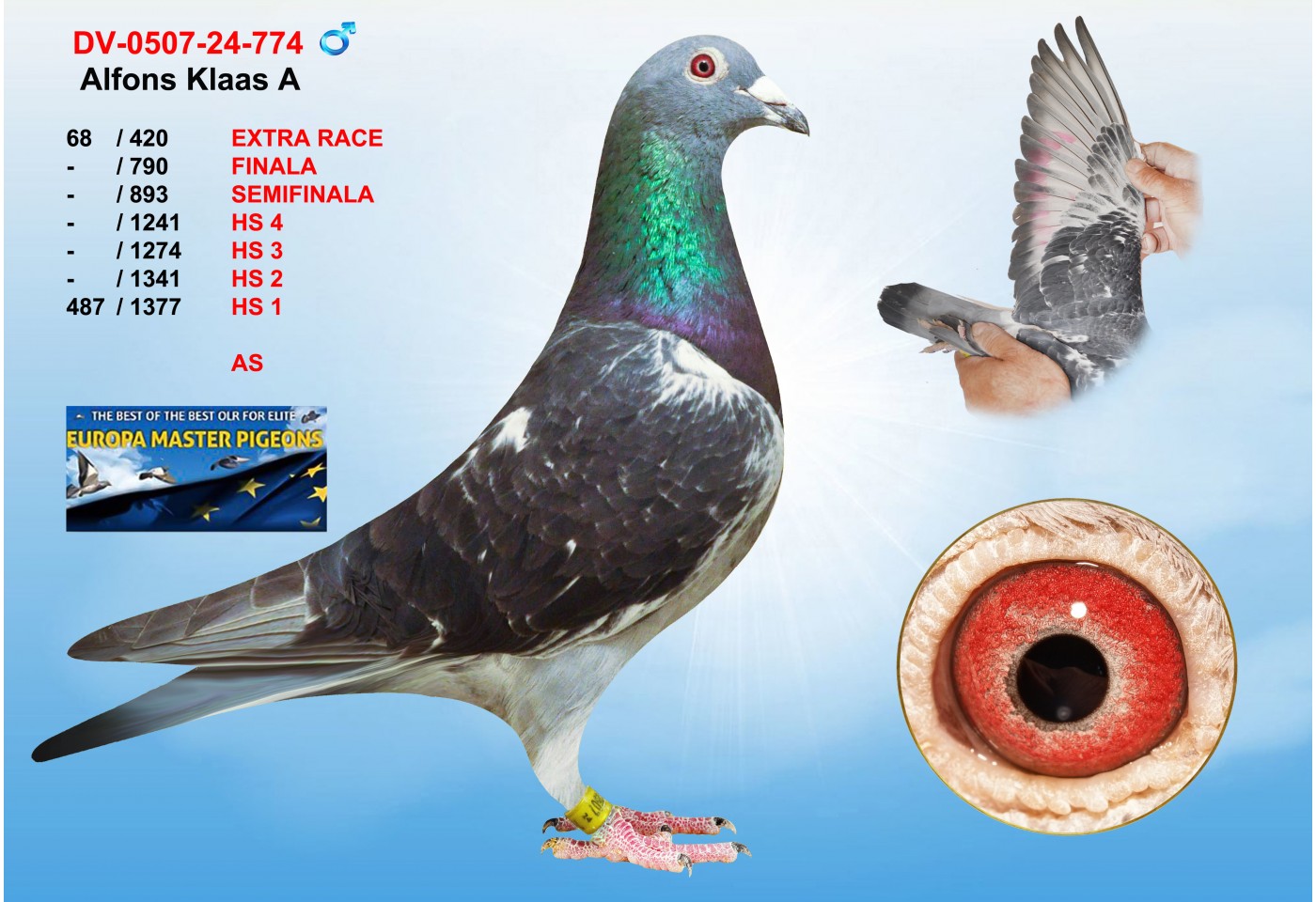 (♂️)  68th place - DV-0507-24-774 - ALFONS KLAAS