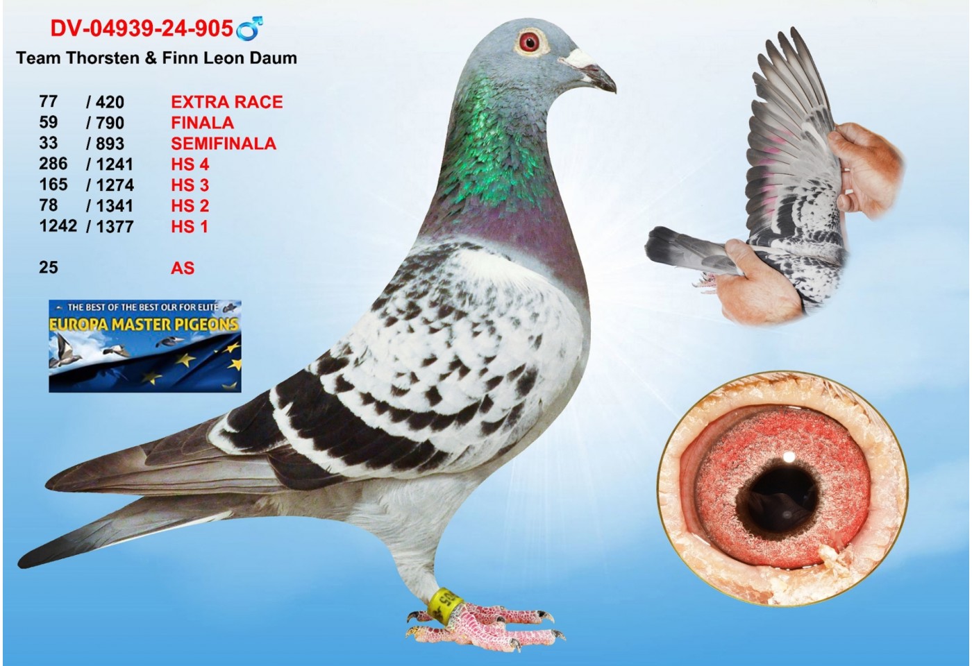 (♂️)  77th place - DV-04939-24-905 - TEAM THORSTEN & FINN LEON DAUM
