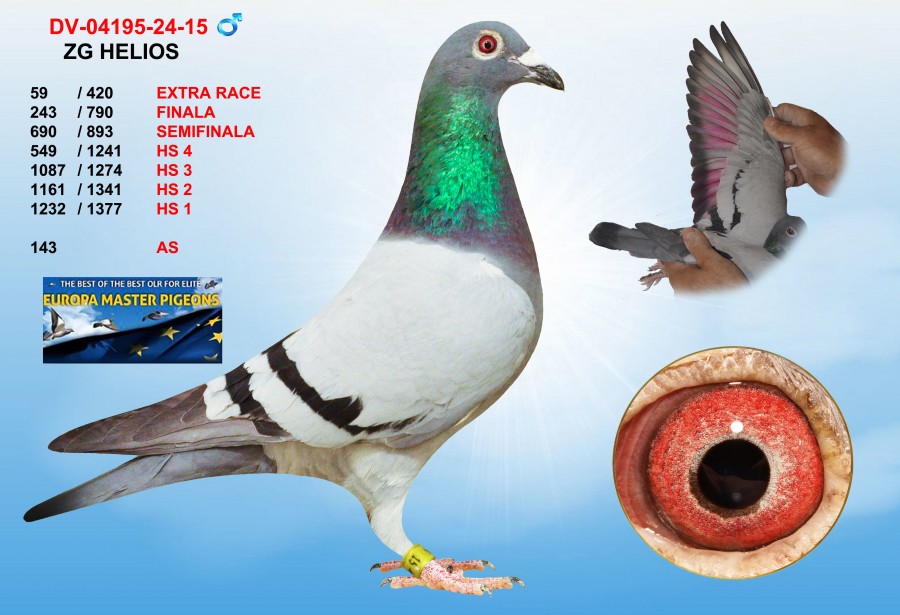 (♂️) 59th place - DV-04195-24-0015 - ZG HELIOS