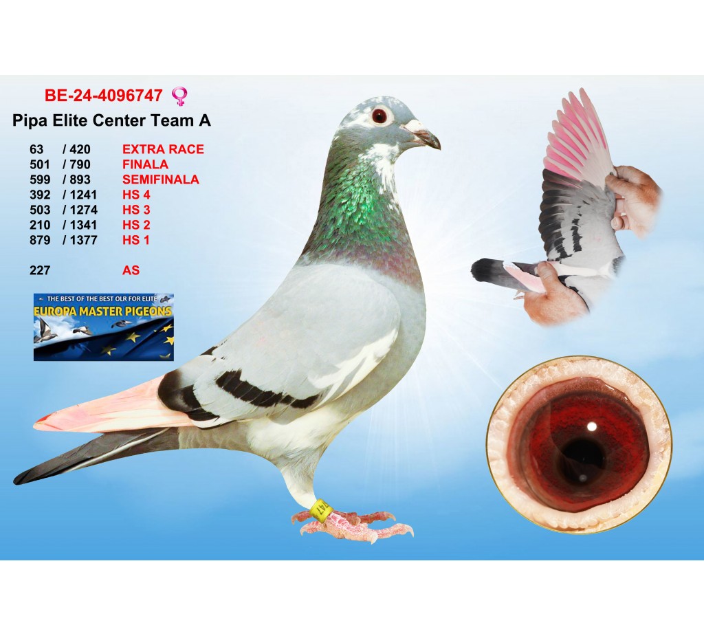 (♀️) 63th place - BF-24-4096747 - PIPA ELITE CENTER