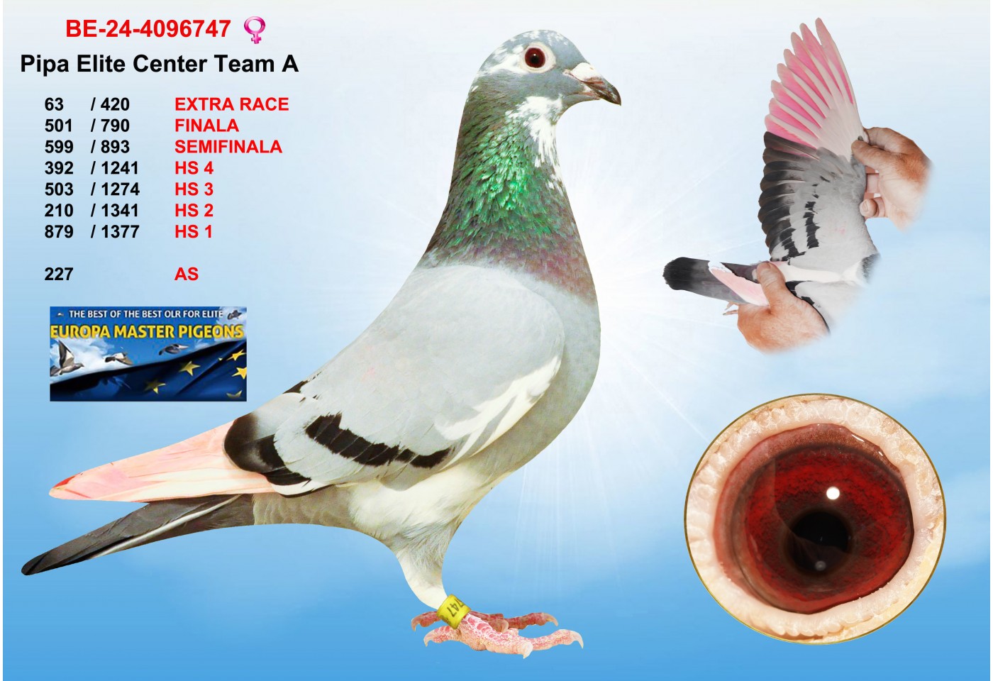 (♀️) 63th place - BF-24-4096747 - PIPA ELITE CENTER