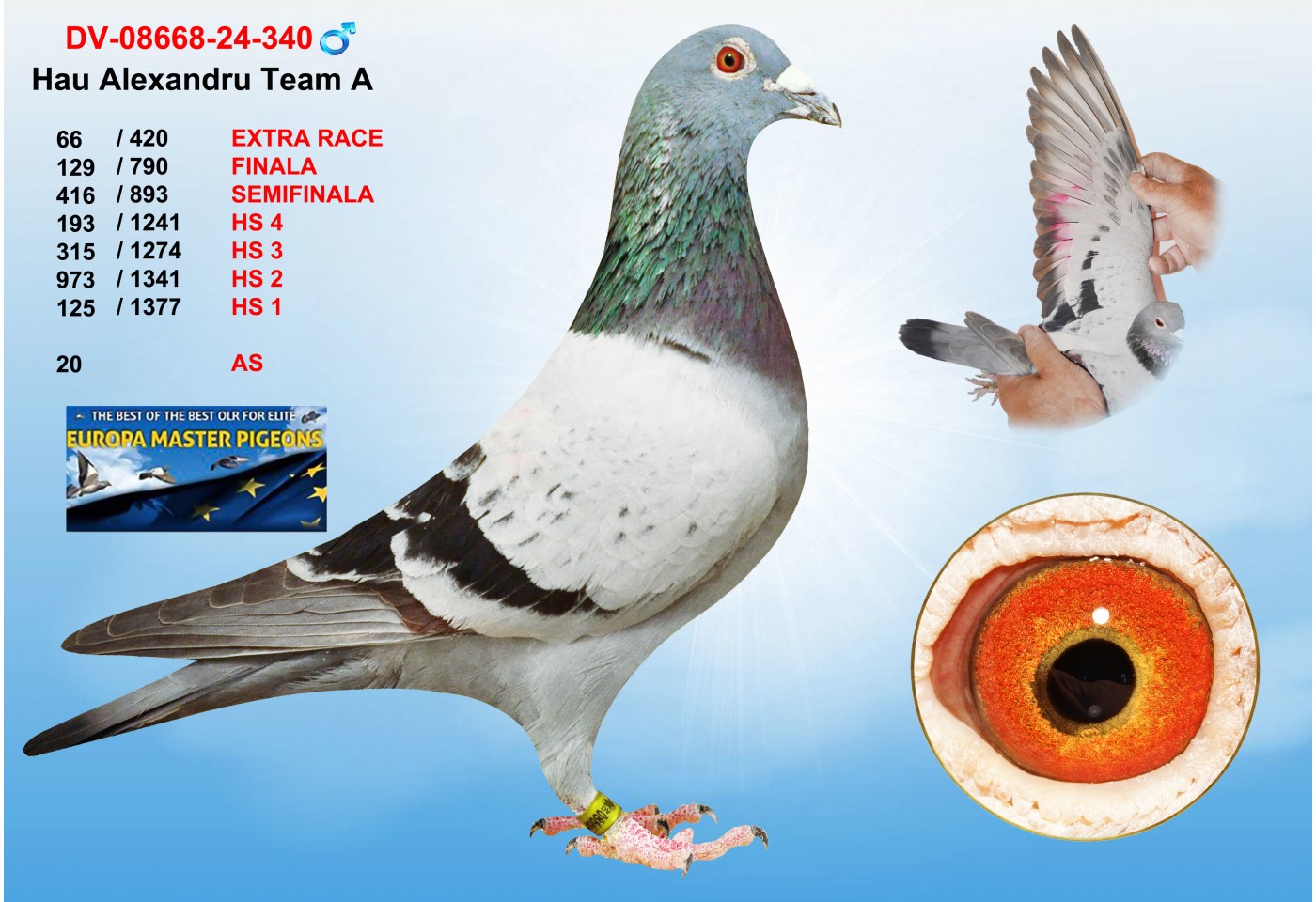 (♂️) 66th place - DV-08668-24-340 - HAU ALEXANDRU