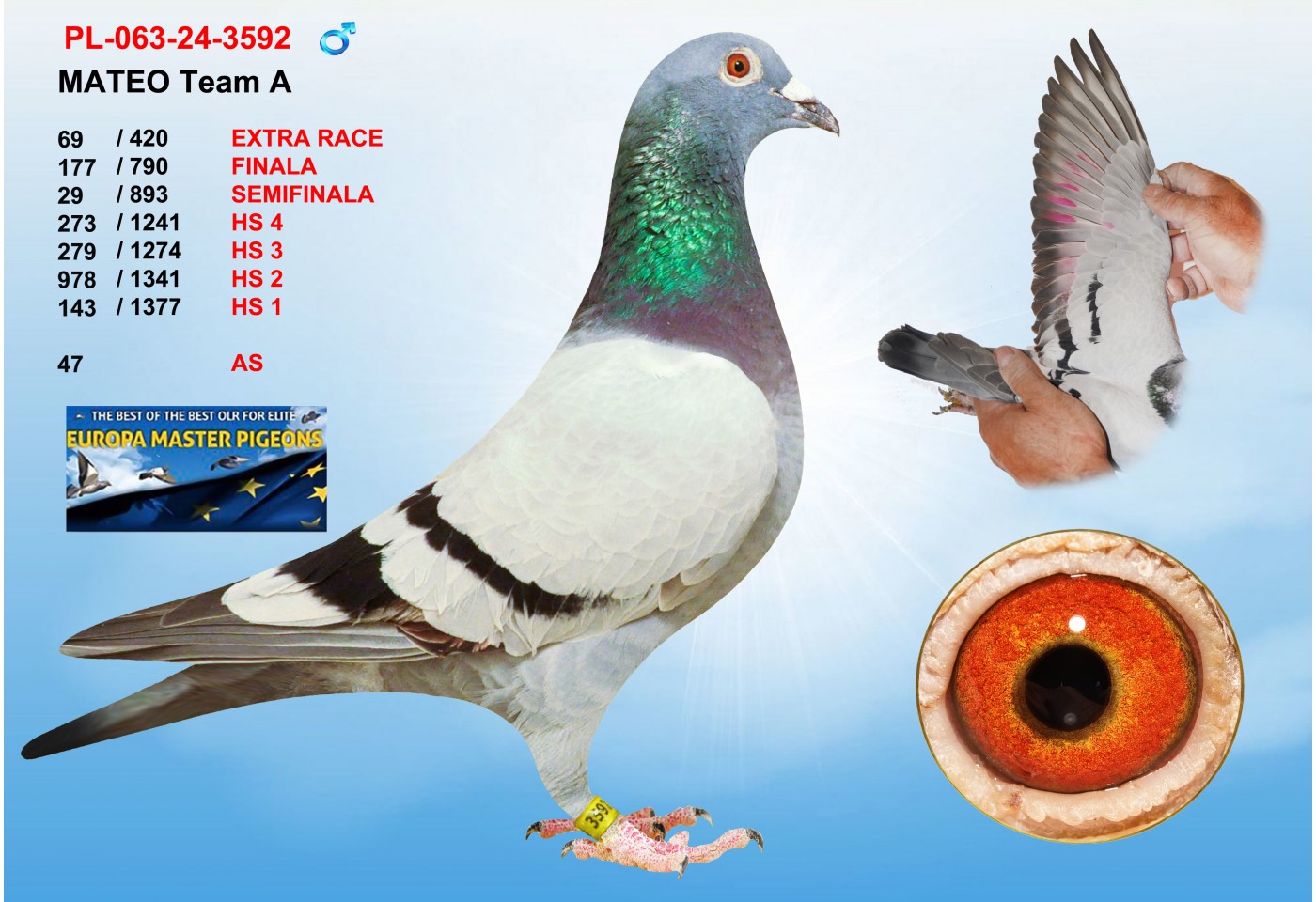 (♂️) 69th place - PL-063-24-3592 - MATEO