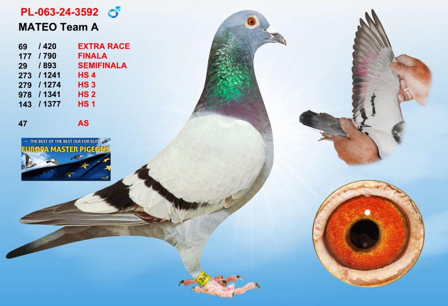 (♂️) 69th place - PL-063-24-3592 - MATEO