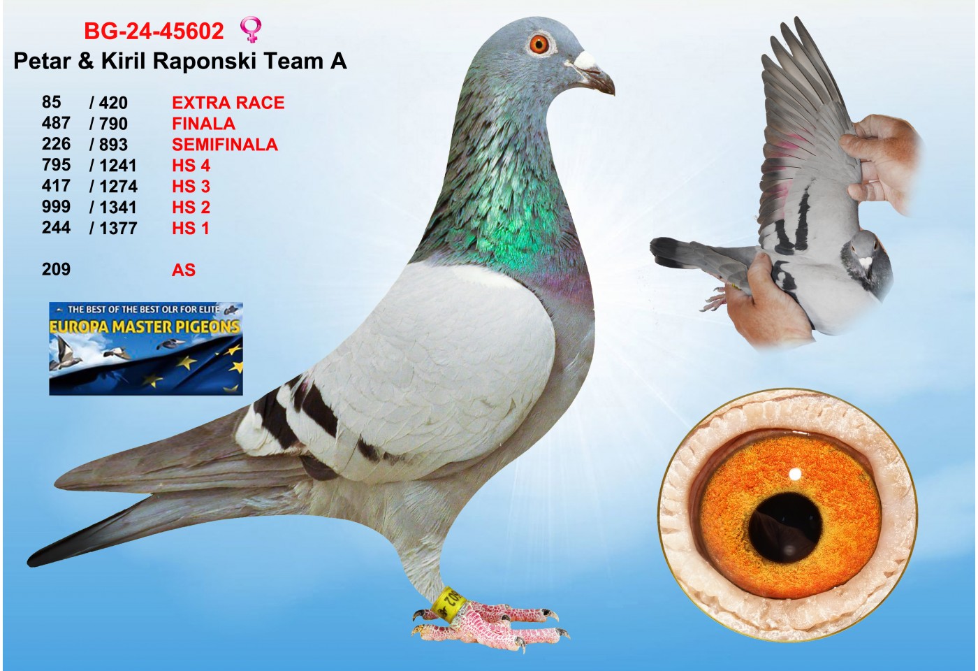(♀️) 85th place - BG-24-45602 - PETAR & KIRIL RAPONSKI