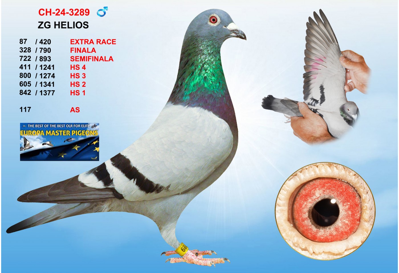 (♂️) 87th place - CH-24-3289 - ZG HELIOS