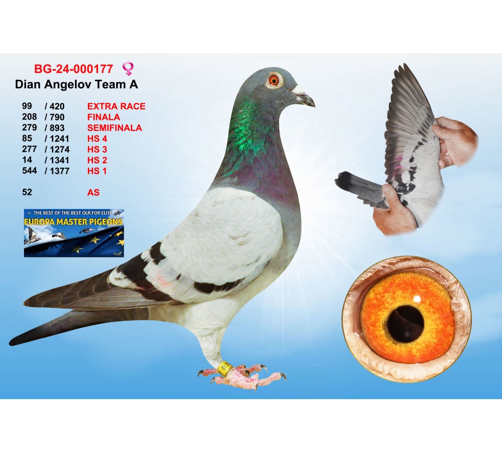 (♀️) 99th place - BG-24-000177 - DIAN ANGELOV