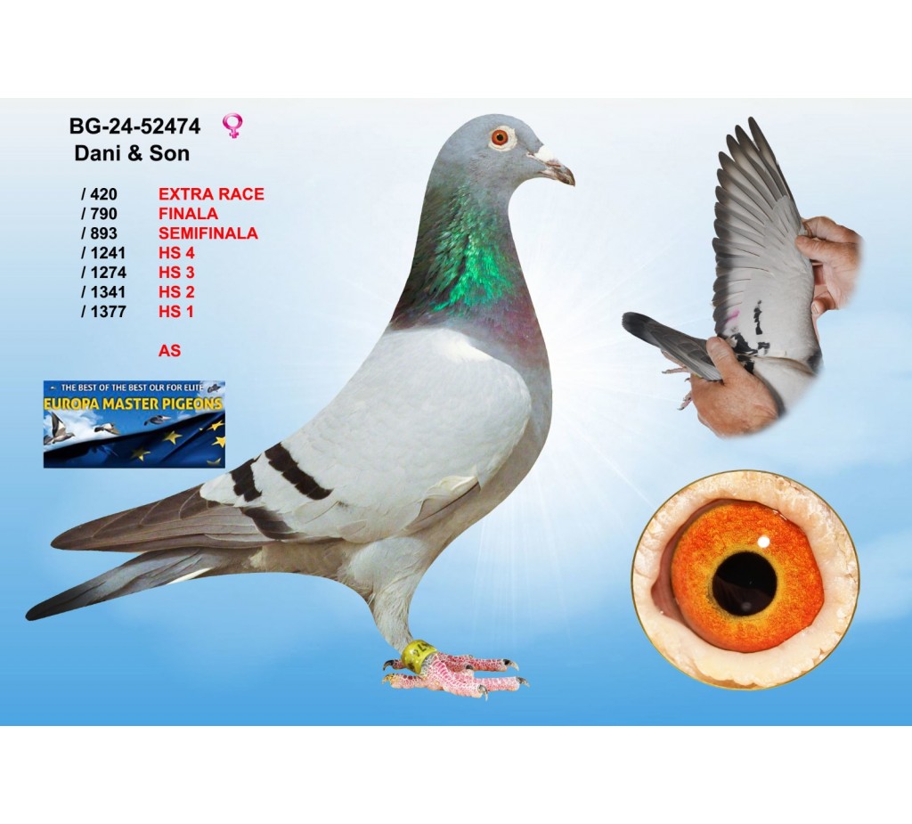 (♀️) BG-24-52474 - DANI & SON