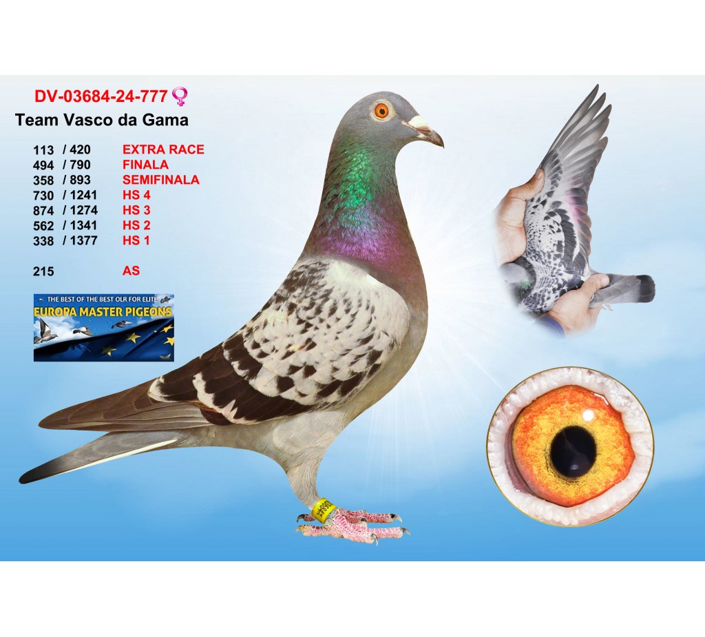 (♀️) 113th place - DV-03684-24-777 - TEAM VASCO DA GAMA