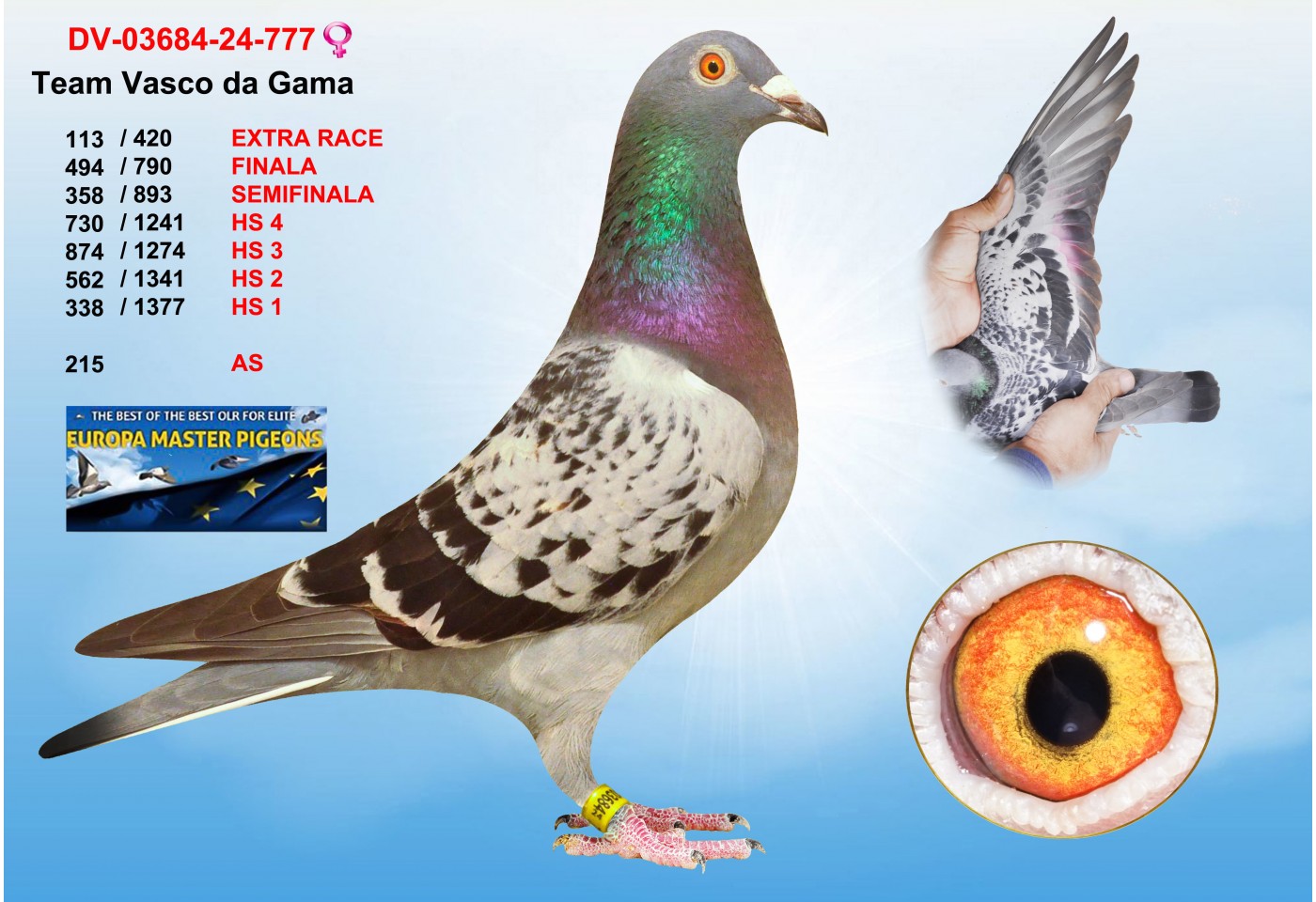 (♀️) 113th place - DV-03684-24-777 - TEAM VASCO DA GAMA
