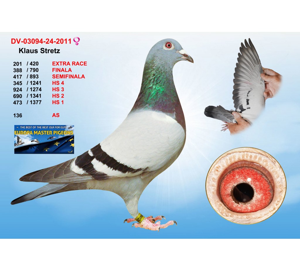 (♀️) 201th place - DV-03094-24-2011 - KLAUS STRETZ