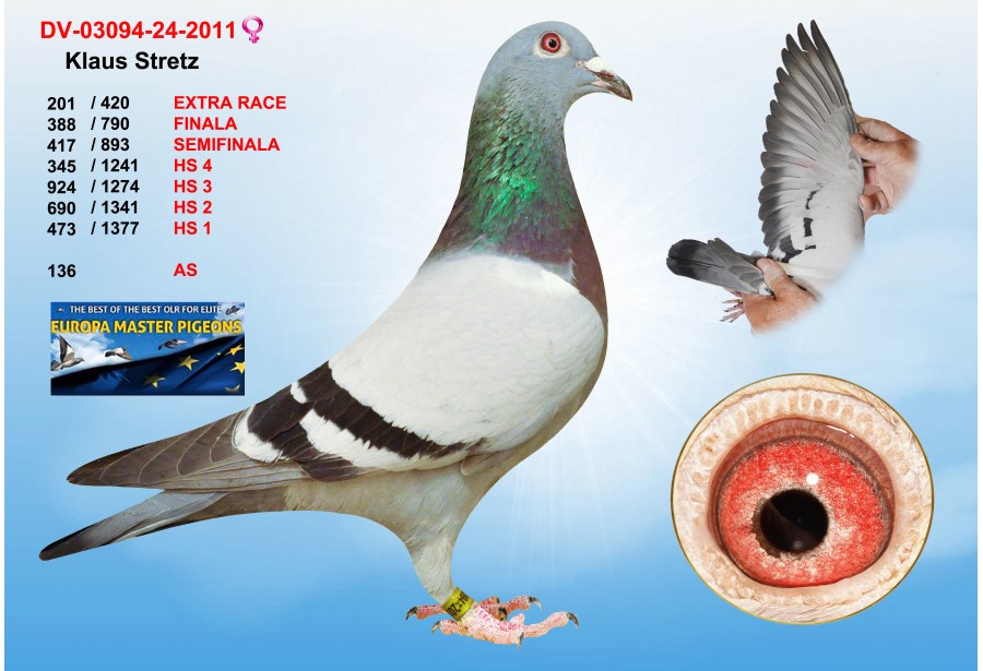 (♀️) 201th place - DV-03094-24-2011 - KLAUS STRETZ