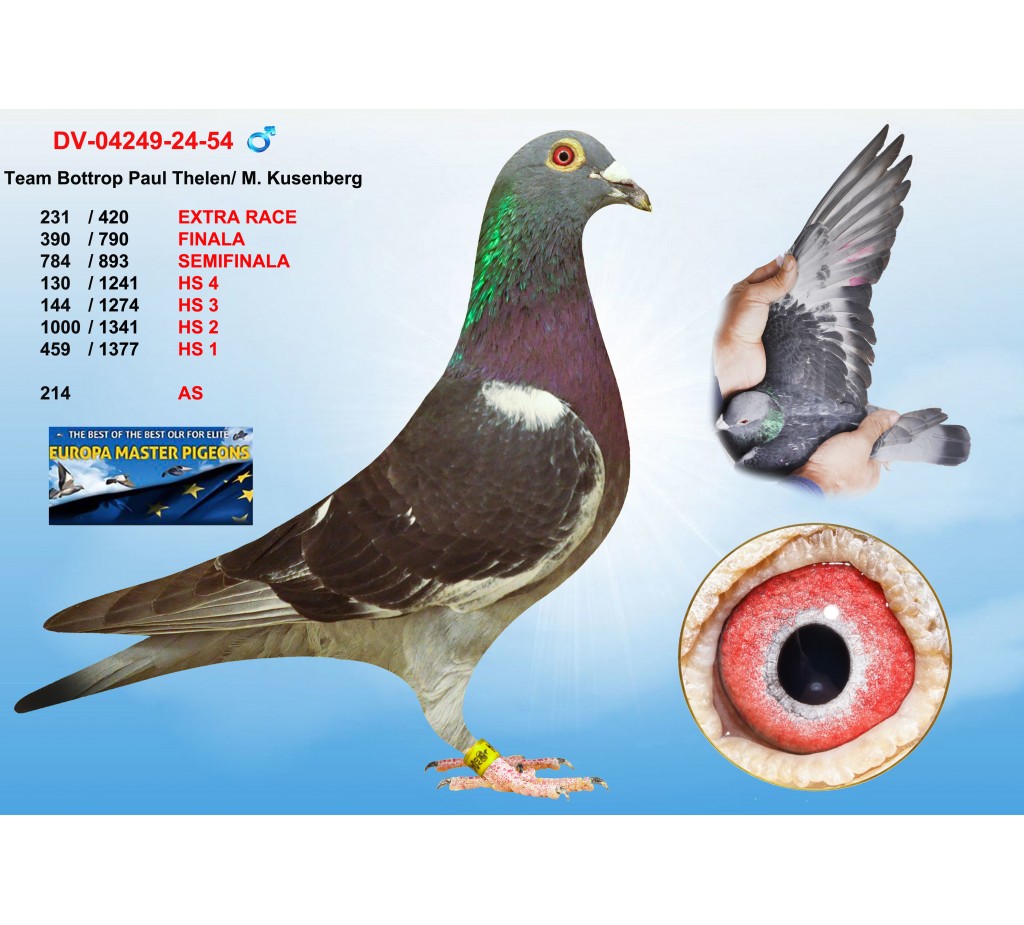 (♂️)  231th place - DV-04249-24-54 - TEAM BOTTROP PAUL THELEN / M. KUSENBERG