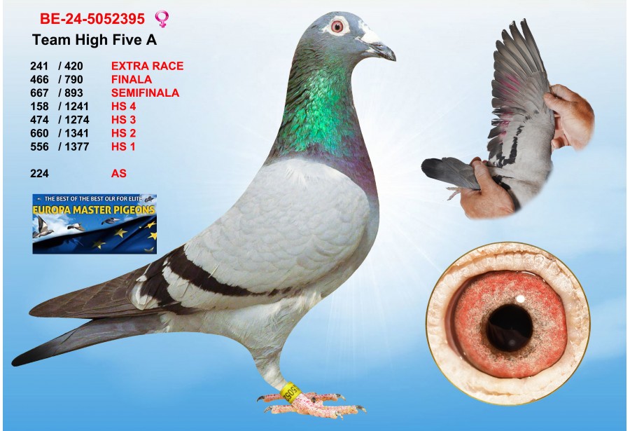 (♀️) 241th place - BE-24-5052395 - TEAM HIGH FIVE