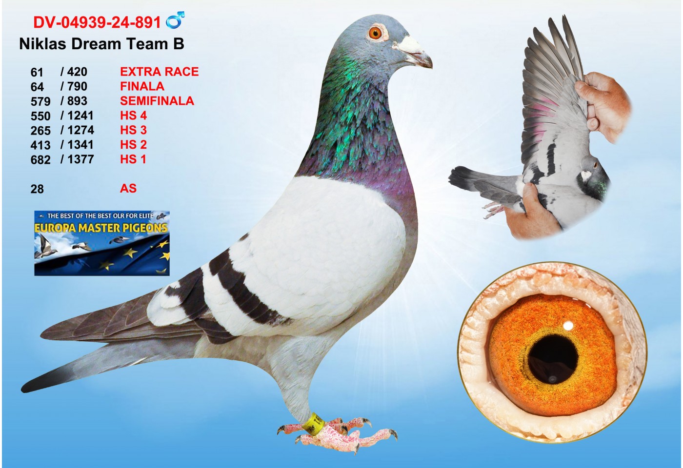 (♂️)  61th place - DV--04939-24-891 - NIKLAS DREAM