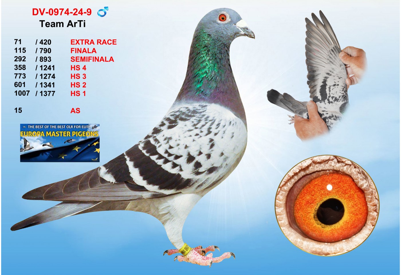 (♂️) 71th place - DV-0974-24-9 - TEAM ArTi