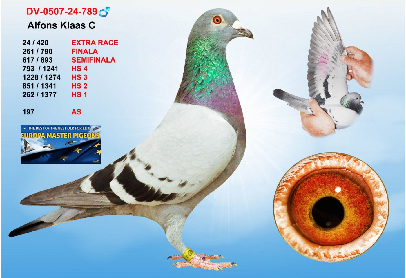 (♂️)  24th place - DV-0507-24-789 - ALFONS KLAAS