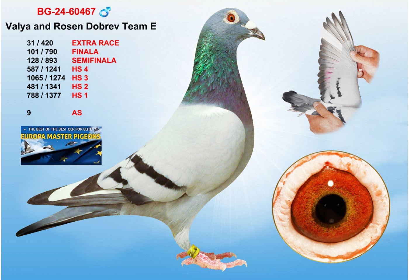 (♂️)  31th place - BG-24-60467 - VALYA & ROSEN DOBREV