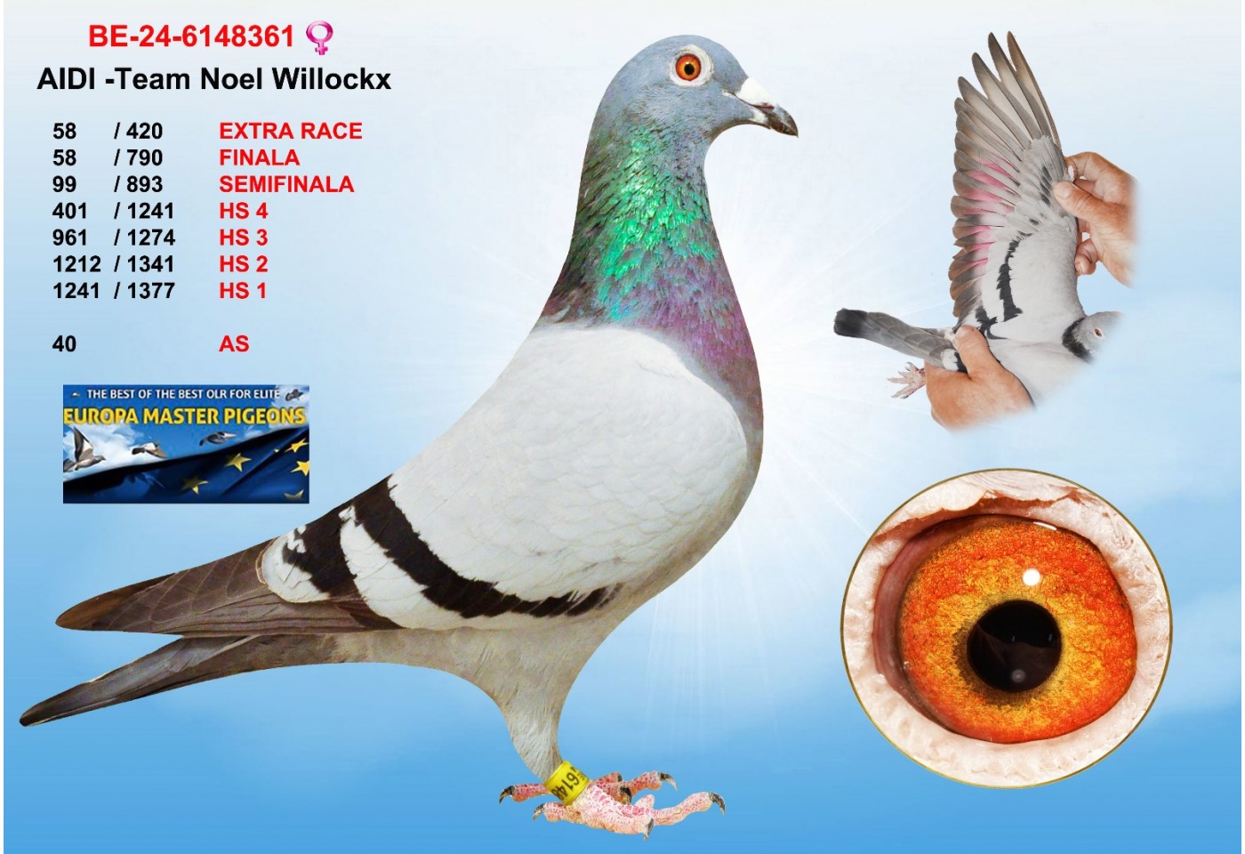 (♀️) 58th place - BE24-6148361 - AIDI - TEAM NOEL WILLOCKX