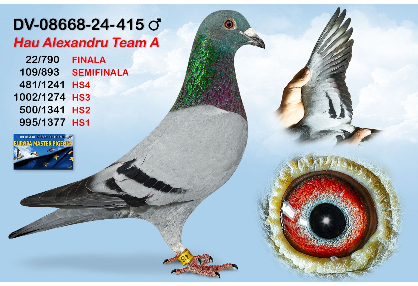 (♂️) 22th place - DV-08668-24-415 - HAU ALEXANDRU