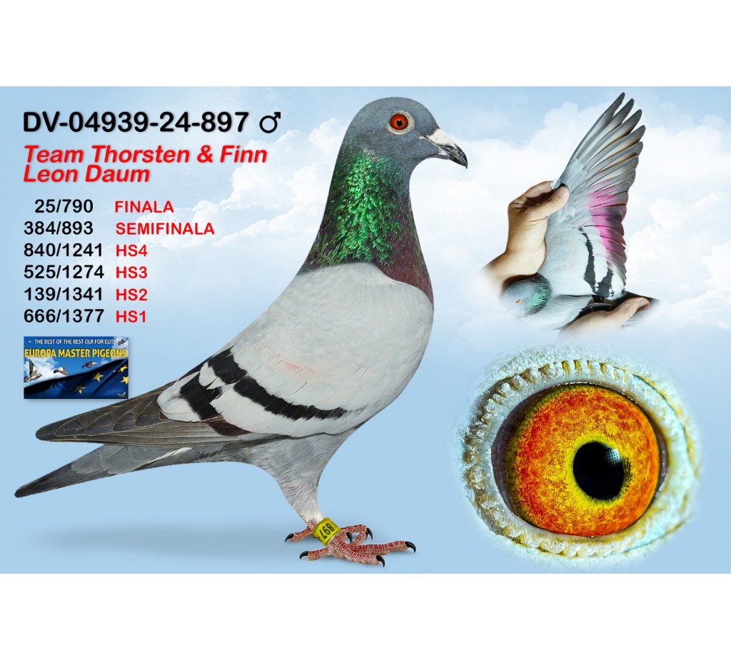 (♂️) 25th place - DV04939-24-897 - THORSTEN DAUM