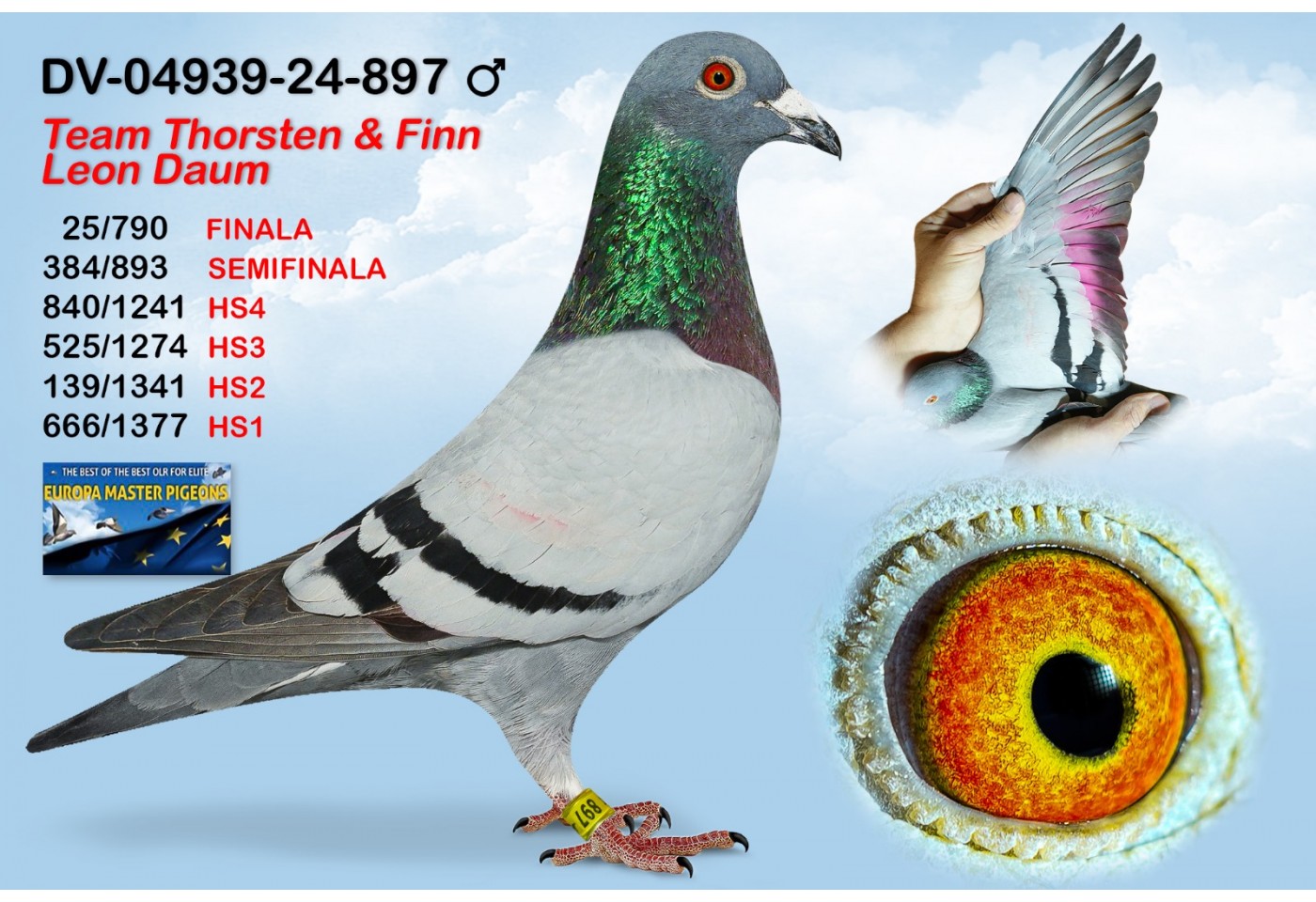 (♂️) 25th place - DV04939-24-897 - THORSTEN DAUM