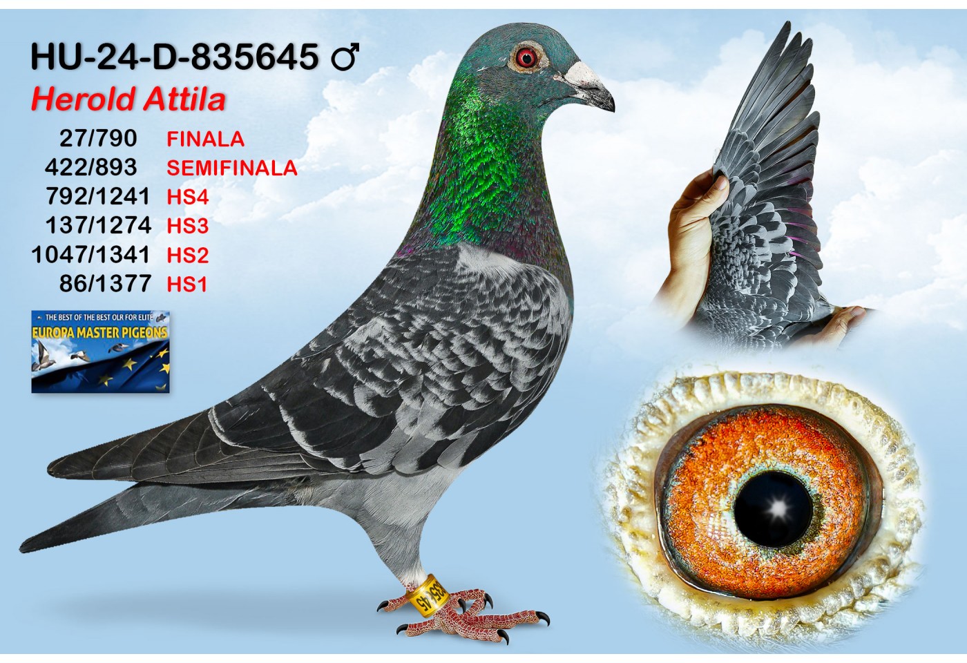 (♂️) 27th place - HU-24-D-835645 - HEROLD ATTILA