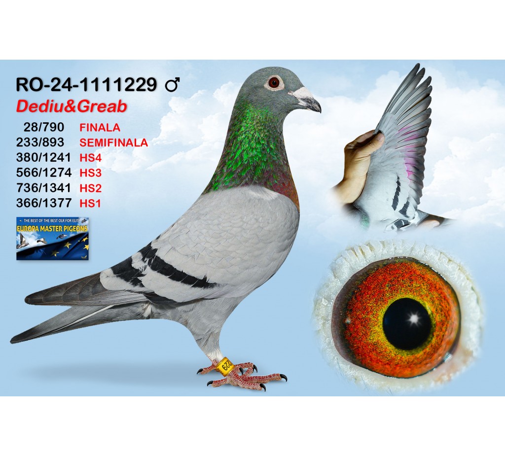 (♂️) 28th place - RO-24-1111229 - DEDIU&GREAB