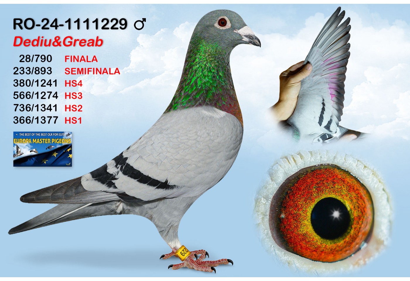 (♂️) 28th place - RO-24-1111229 - DEDIU&GREAB