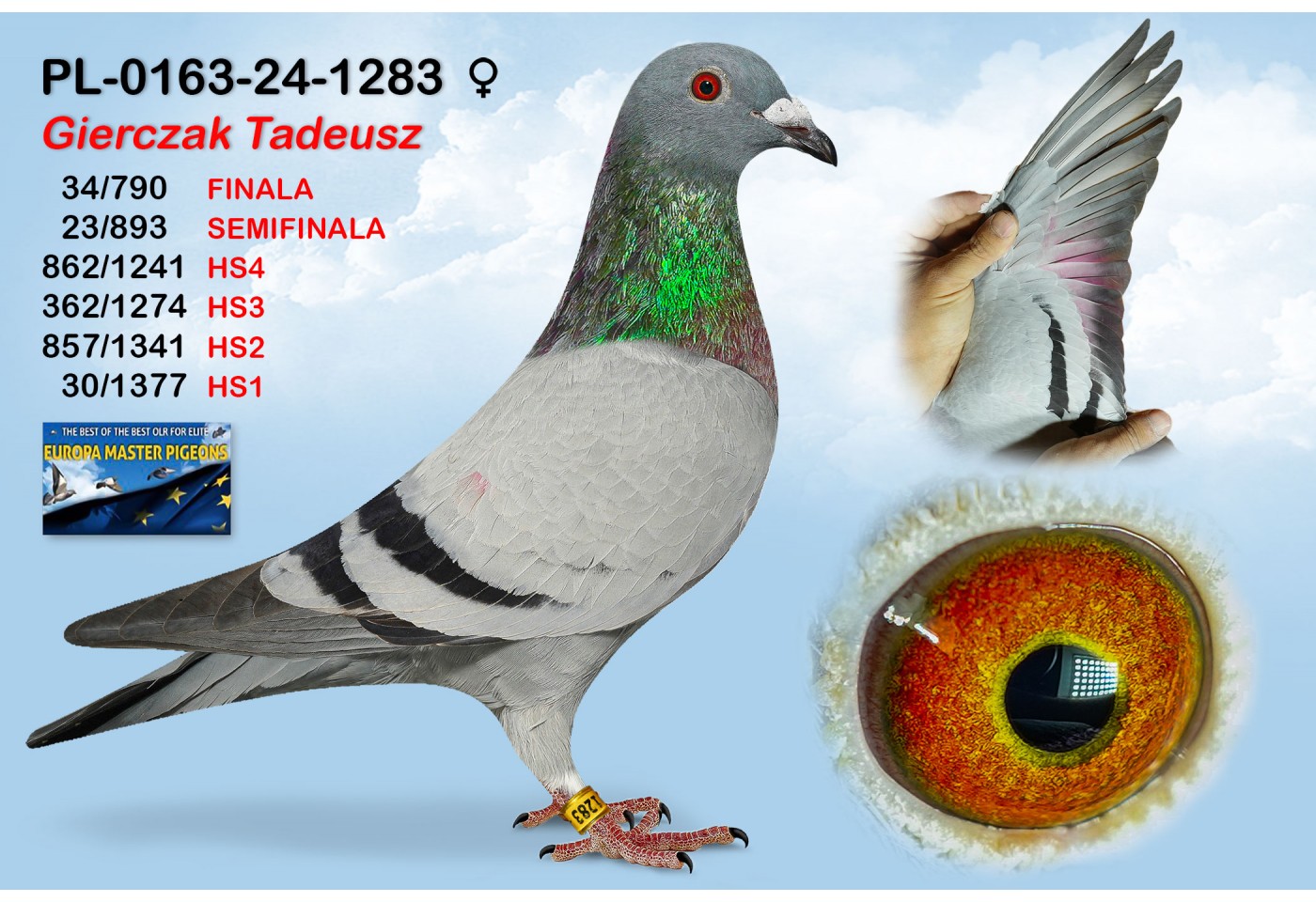 (♀️) 34th place - PL-0163-24-1283 - GIERCZAK TADEUSZ