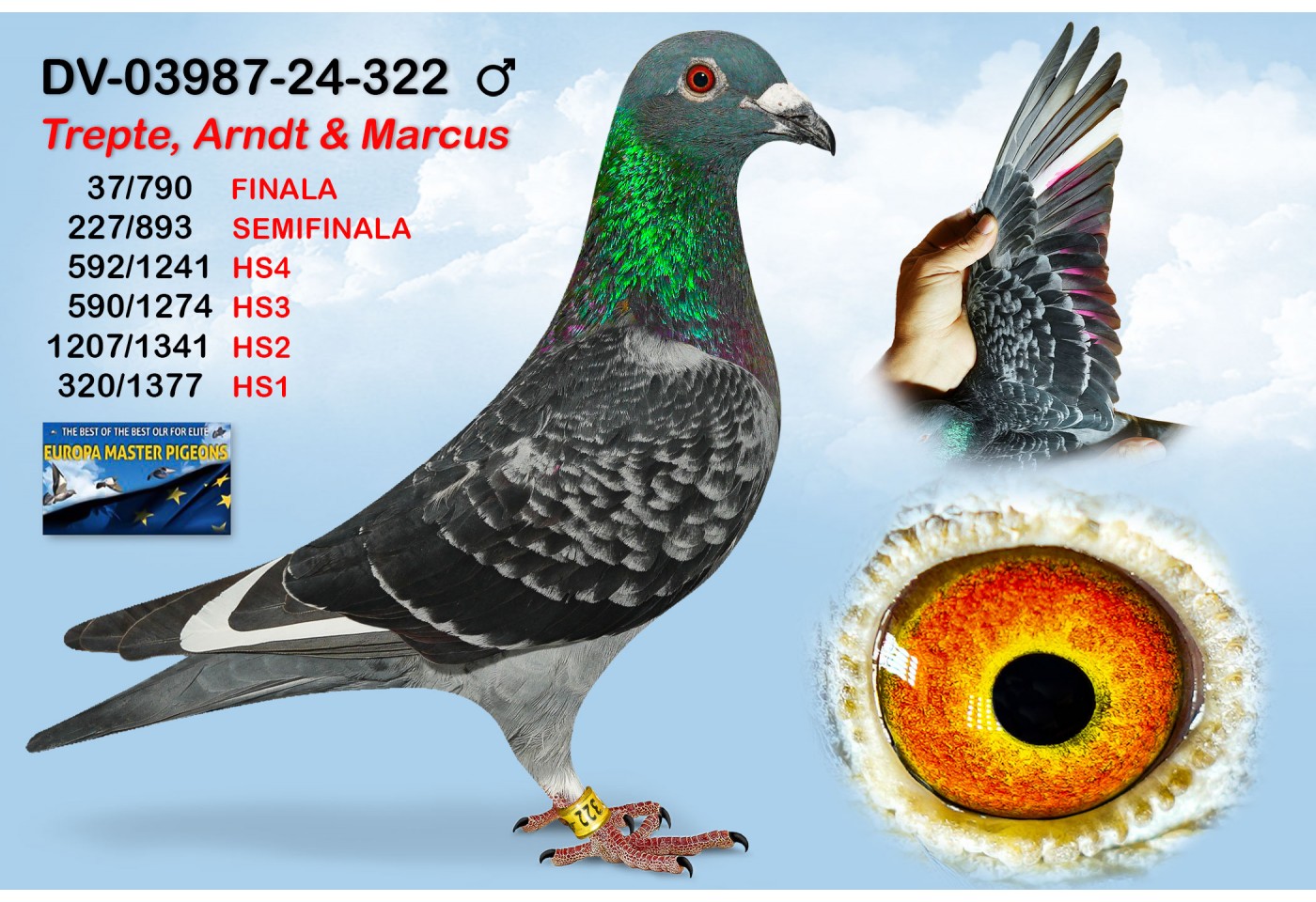 (♂️) 37th place - DV-03987-24-322 - TREPTE, ARNDT & MARCUS