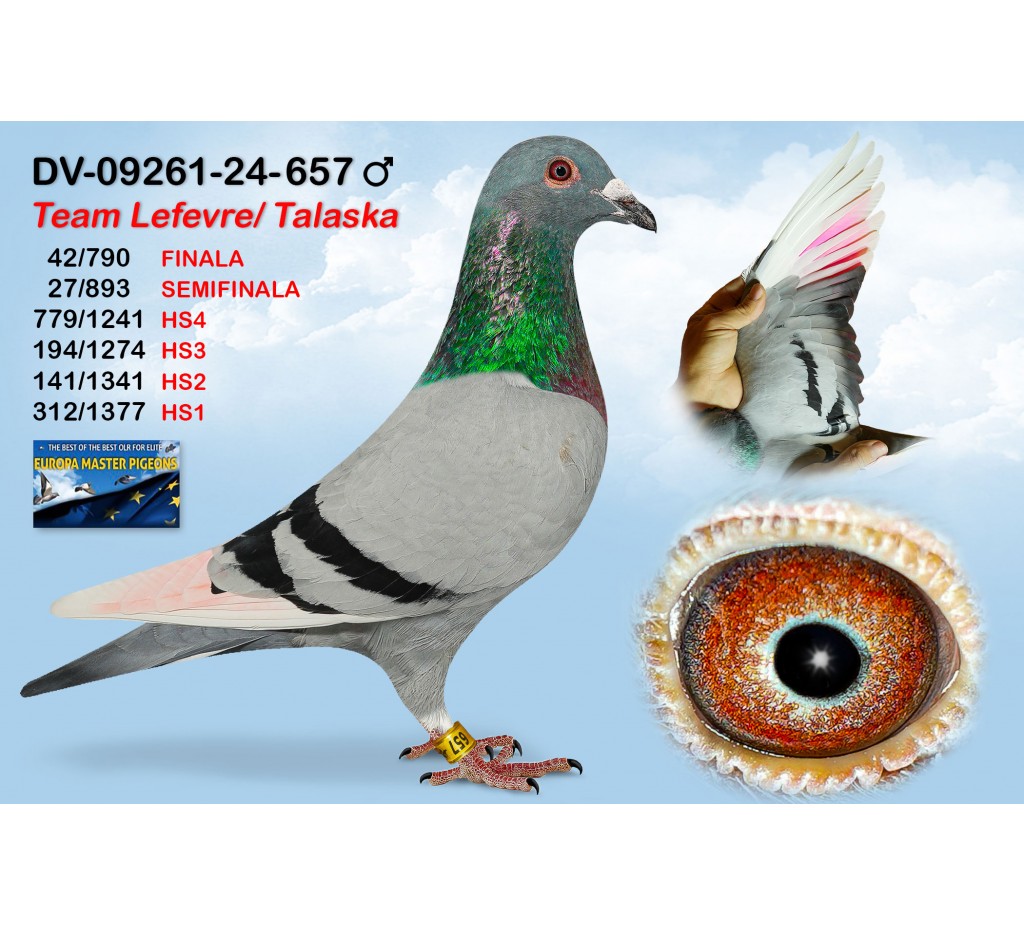 (♂️) 42th place - DV-09261-24-657 - TEAM LEFEVRE TALASKA