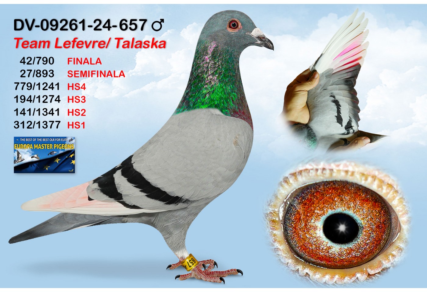 (♂️) 42th place - DV-09261-24-657 - TEAM LEFEVRE TALASKA