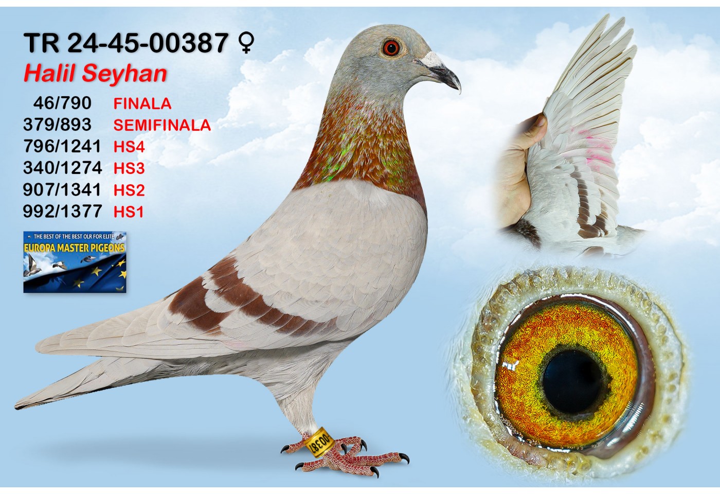 (♀️) 46th place - TR-24-45-00387 - HALIL SEYHAN
