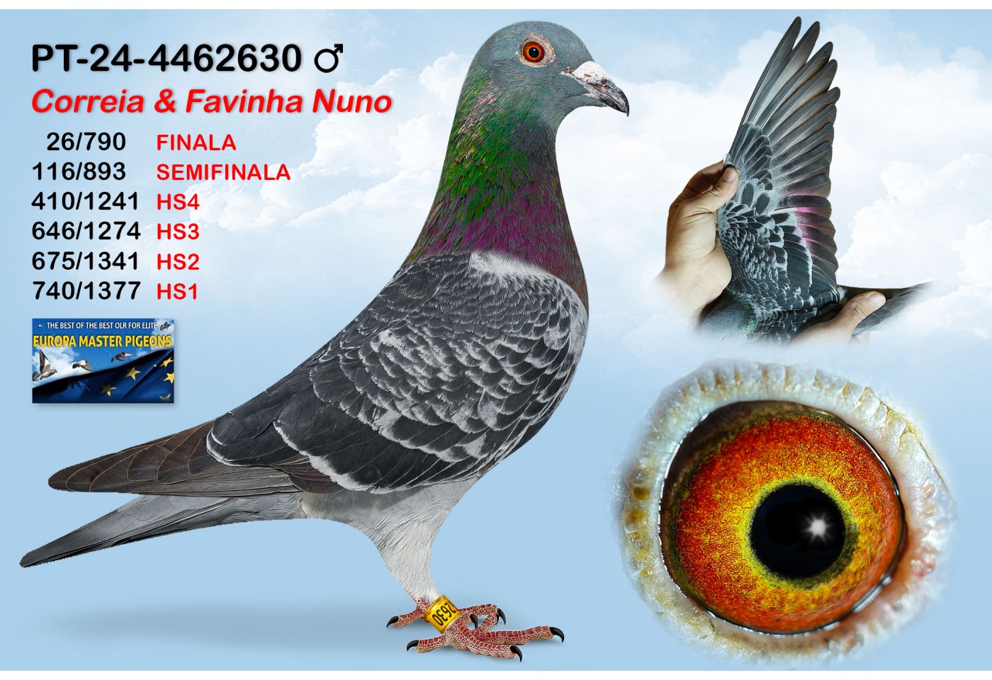 (♂️) 26th place -  PT-24-4462630 - Correia & Favinha Nuno