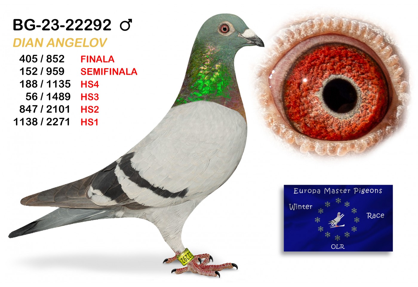 (♂️) BG-23-22292 - DIAN ANGELOV