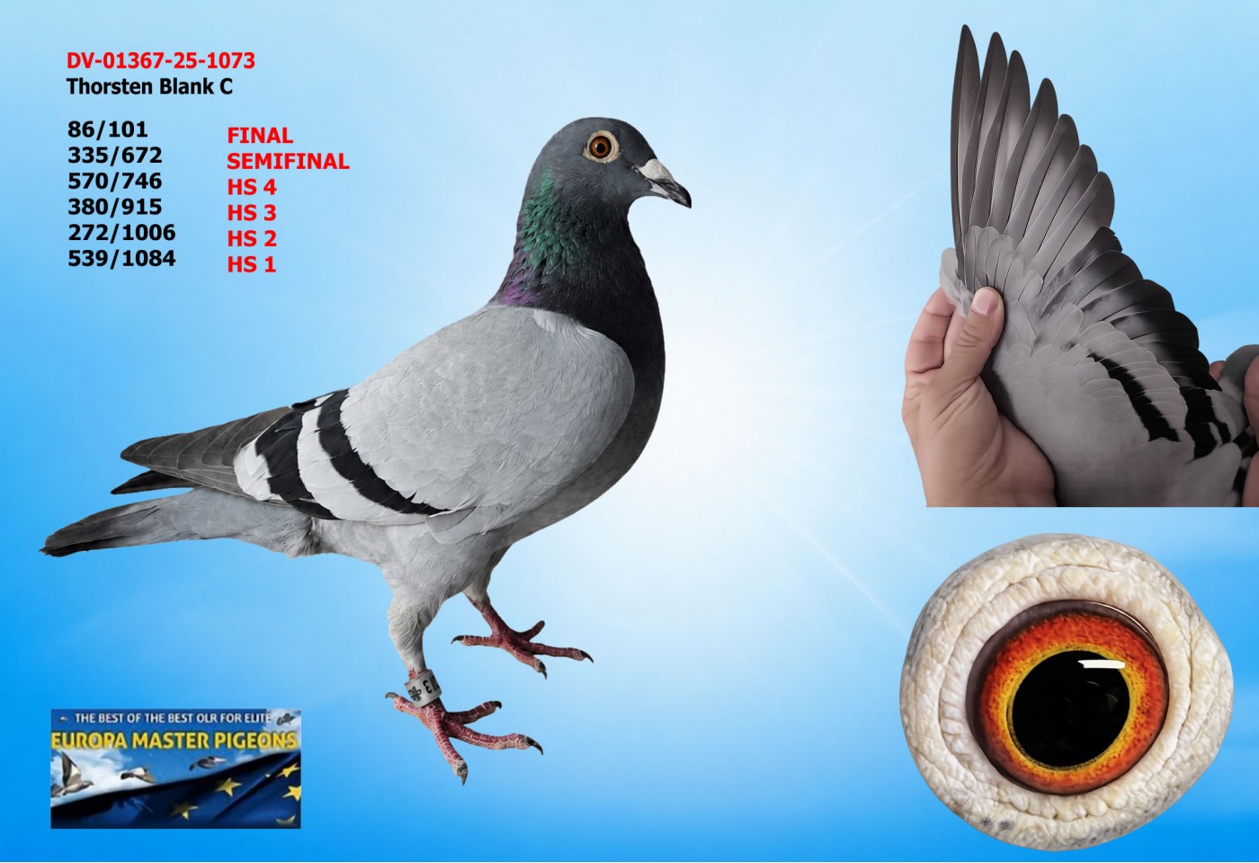 (♂️) 86th place FINAL - DV-01367-25-1073 - Thorsten Blank C