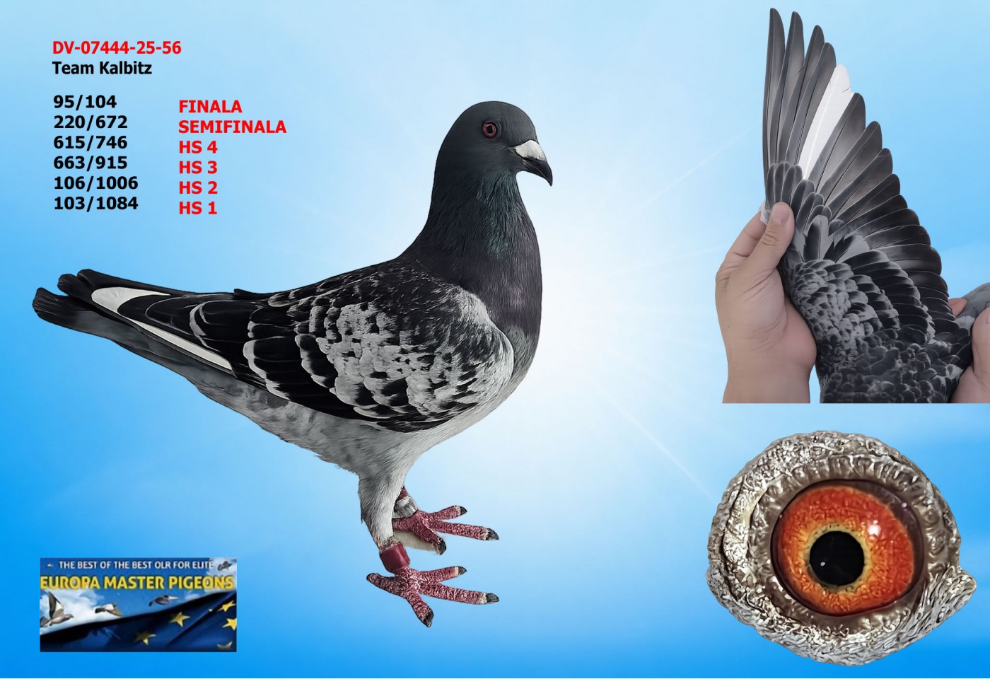 95th place FINAL - DV-07444-25-56 - Team Kalbitz