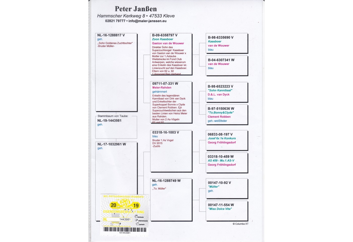 (♂️) 153th place - Pieter Kos & Peter Jansen FCI Team A