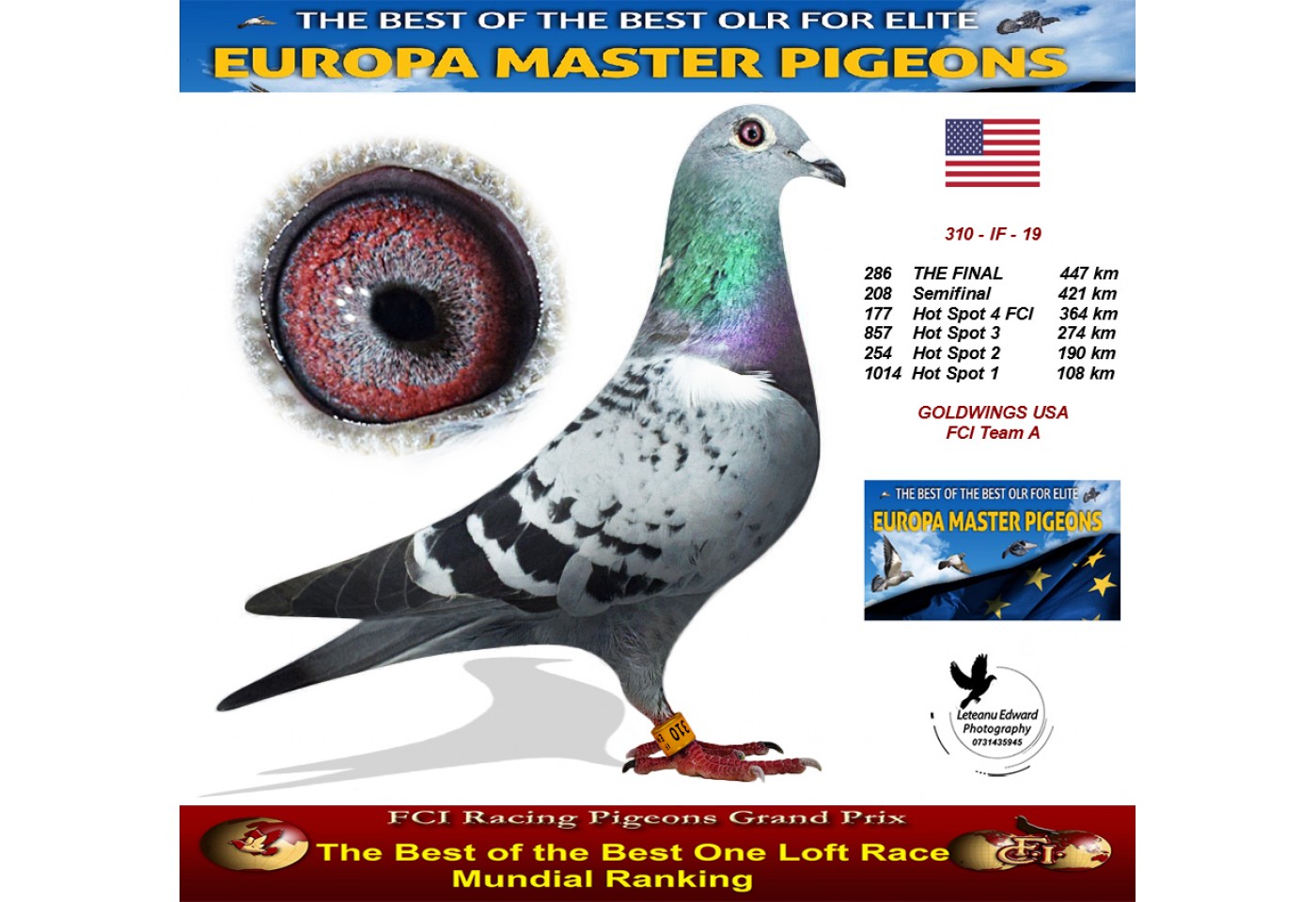 (♀️) 286th place - Goldwinds USA FCI Team A